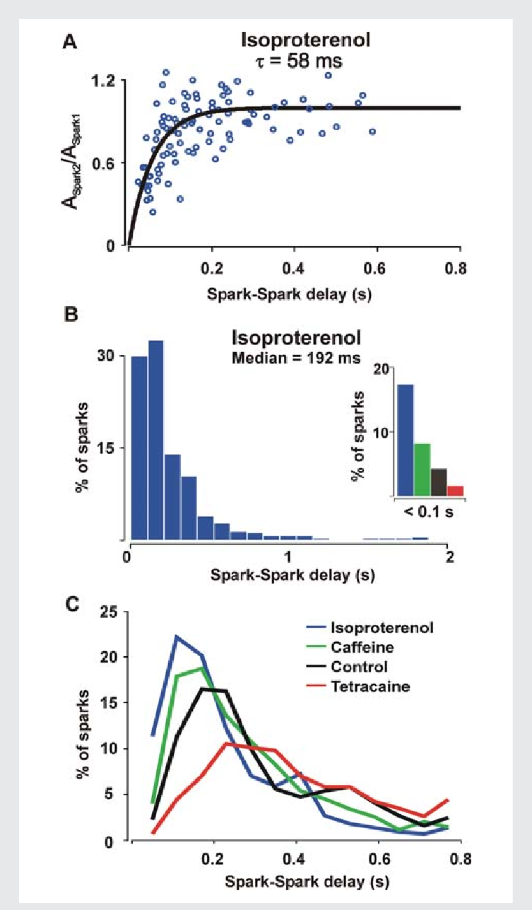 Ca 2 Spark Restitution After B-adrenergic Stimulation - Diagram (753x1287), Png Download