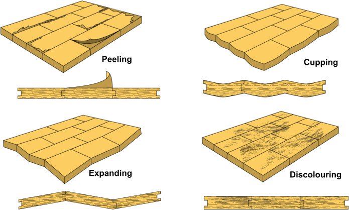 With Safro Flooring From Pvc Ceilings Sa® You Never - Wood Flooring (700x454), Png Download