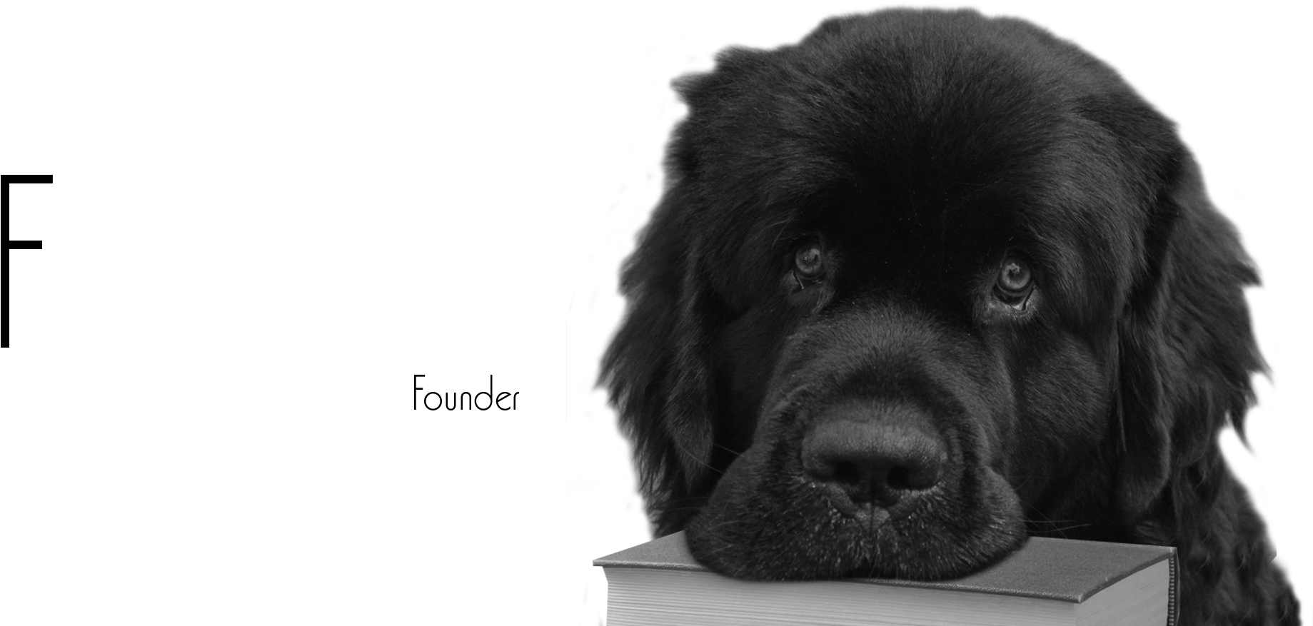 Giant Dog Breed (2000x978), Png Download