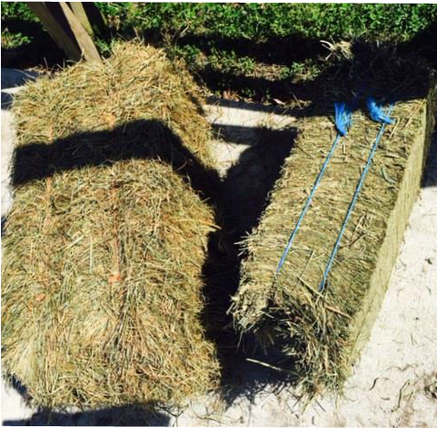 Bale Of Hay Png - Hay (480x640), Png Download