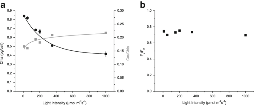 Effects Of Different Light Intensities On Photosynthetic - Absorption Of Eriochrome Black T (850x352), Png Download