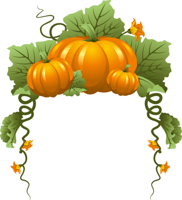 29 - Pumpkin Frame Clipart (600x659), Png Download