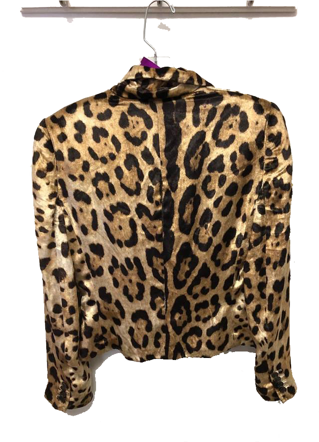 Jacket2 - Dolce & Gabbana - Leopard Print Suitcase - Women (720x960), Png Download