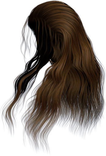 Download Stock Hair Images - Long Hair Png Side PNG Image with No  Background 