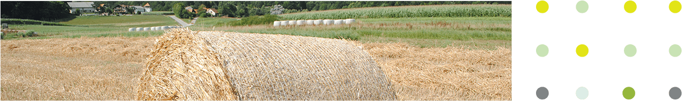 Yield Per Hectare, Thus Reducing The Requirement For - Field (1368x390), Png Download