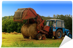 Hay (400x400), Png Download