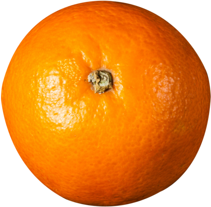 Download Orange Top View Png Image - Orange Top Png (500x494), Png Download