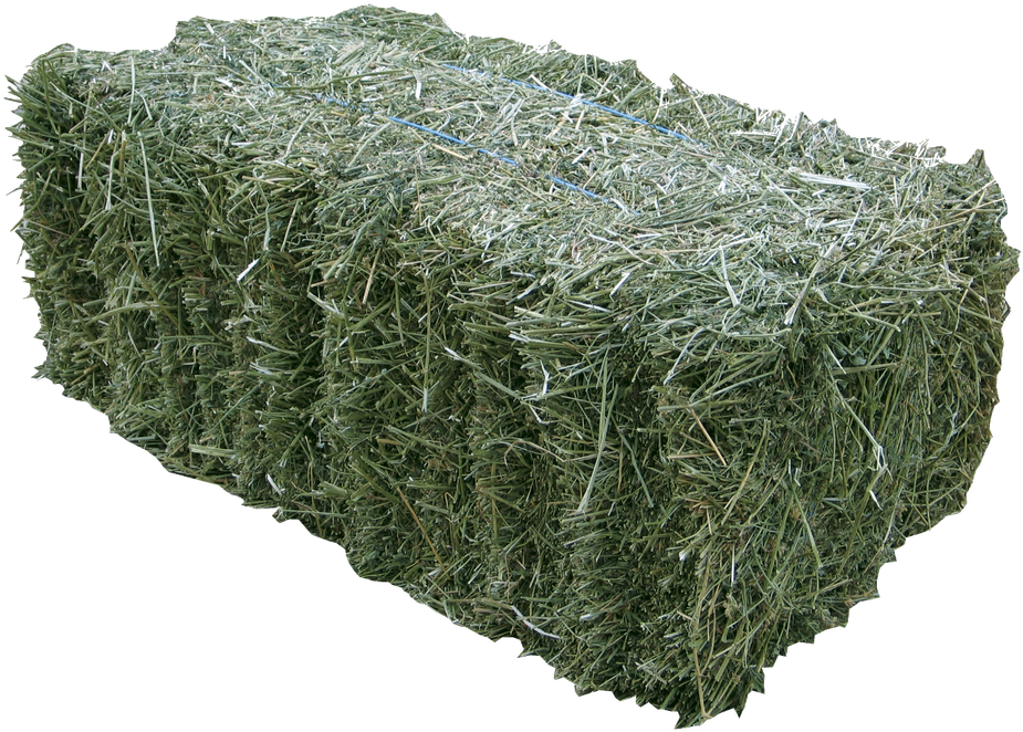 Bales Of Hay From A Farm Or Feed Store Are Incredibly - Prime Lucerne Hay (1067x800), Png Download