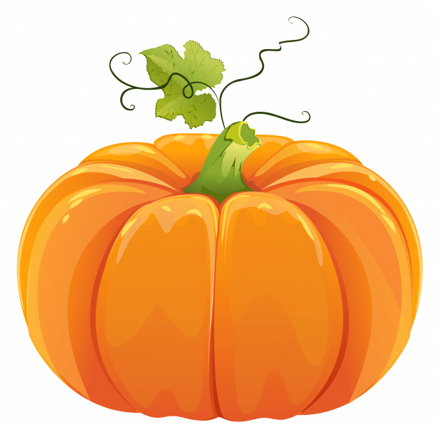 Pumpkin Investigation Hay Springs Public School Clip - Pumpkin Clip Art Png (617x600), Png Download