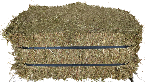 Timothy Compressed Hay 29 Sep 2017 - Grass (500x284), Png Download