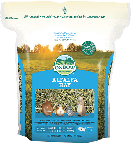 Sweet, Soft Oxbow Alfalfa Hay Is A Legume Hay That - Oxbow Alfalfa Hay (521x570), Png Download