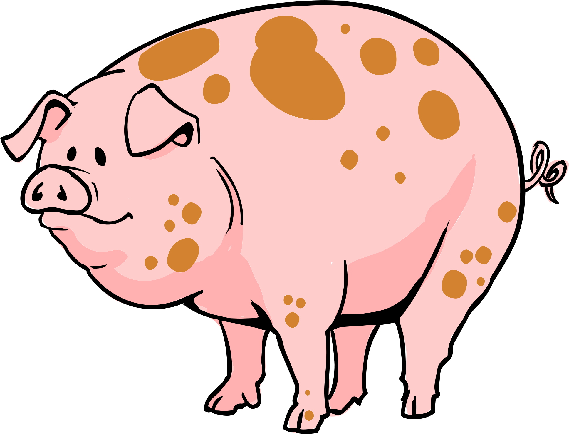 Pig Cartoon - Cartoon Of A Pig (780x600), Png Download