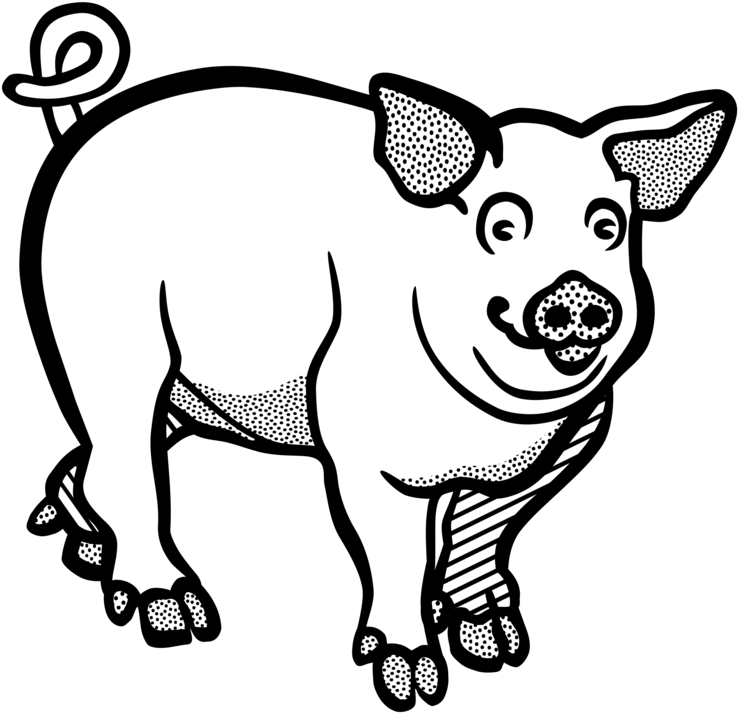 Wild Boar Line Art Drawing Black And White Free Commercial - Line Art Of Pig (775x750), Png Download