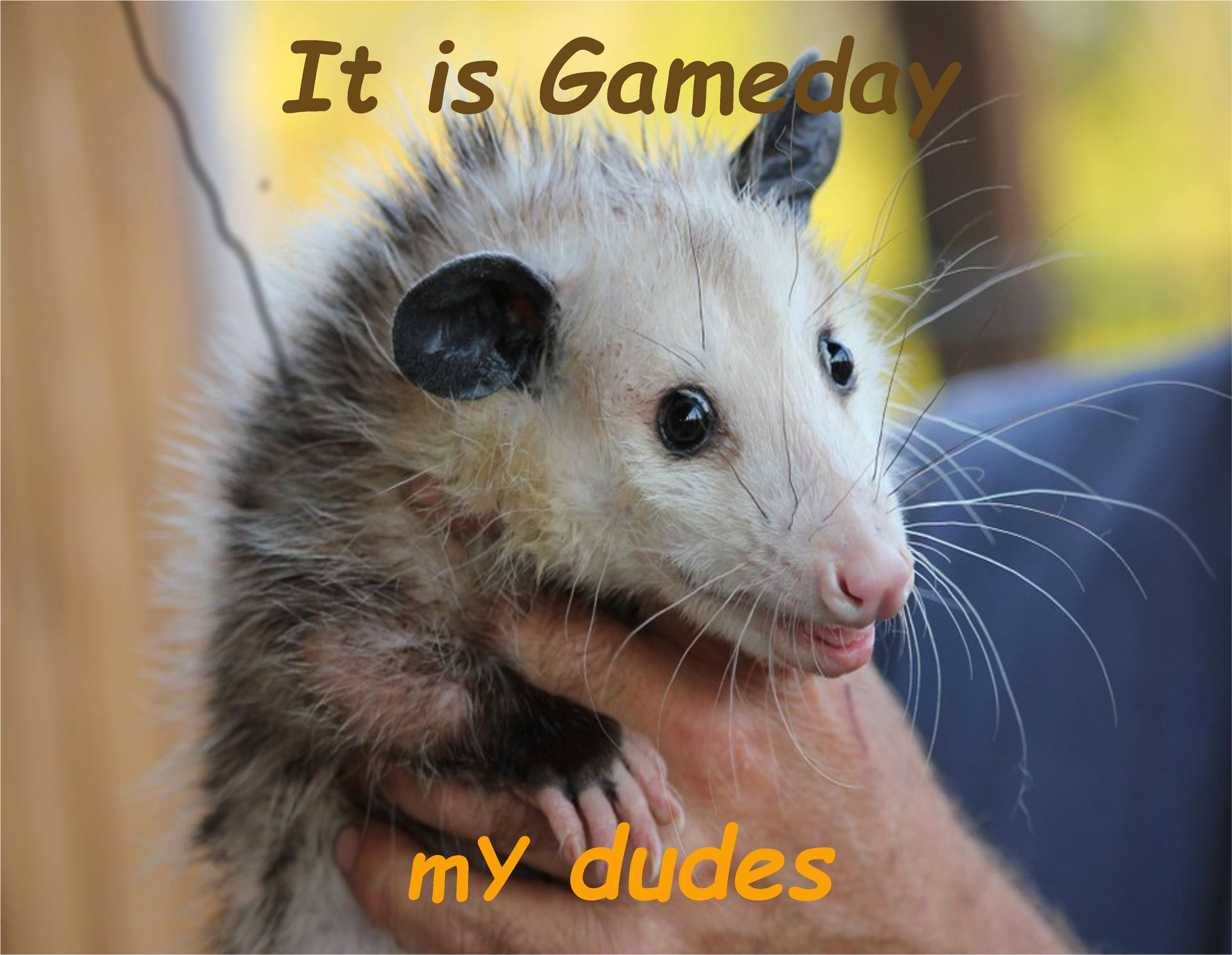 Guess What Brown Boys (4500x5400), Png Download