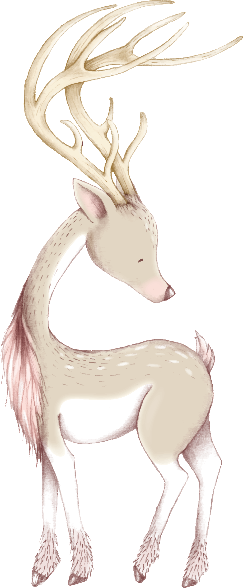 Cute Christmas Deer Ornaments & Oval Ornament (1024x2477), Png Download