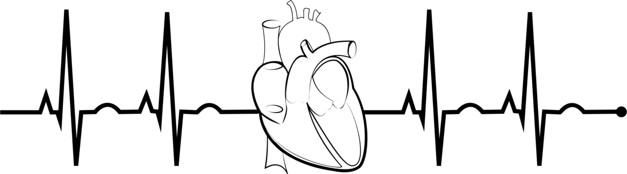 Electrocardiography Heart Arrhythmia Heart Rate Medicine - Ekg Clip Art (1220x340), Png Download