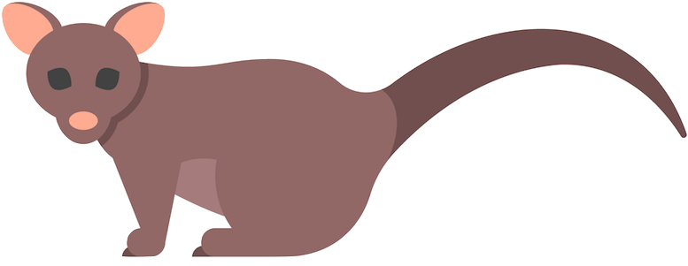 Possum Cartoon (800x324), Png Download