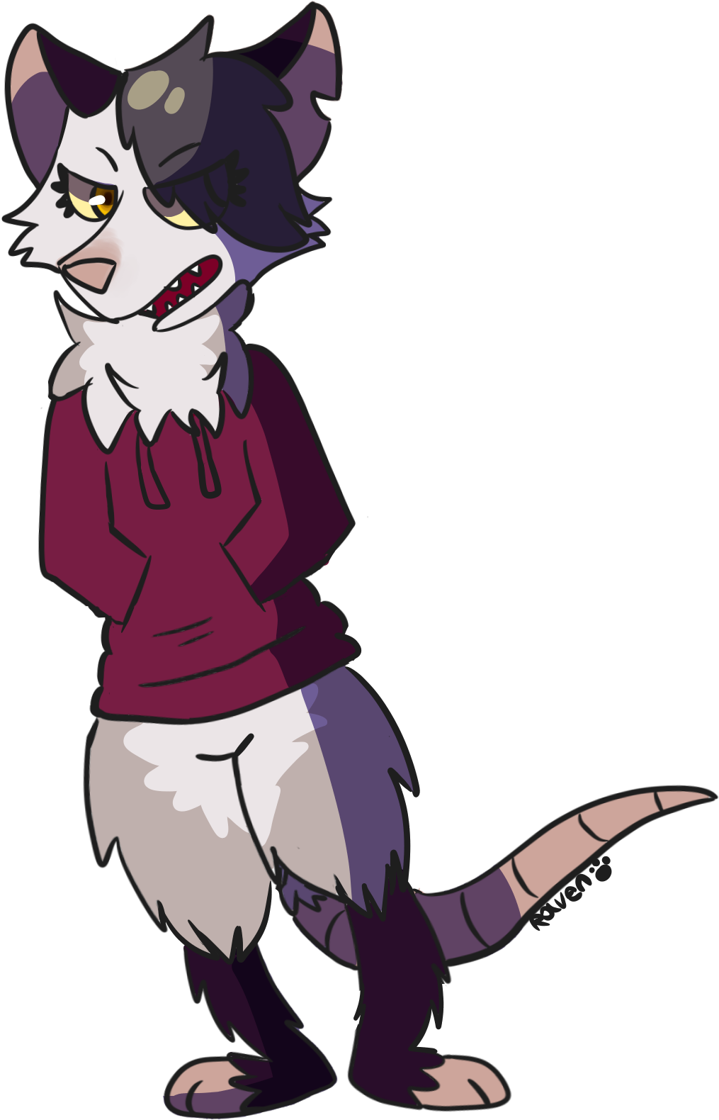 A Possum - Cartoon (1156x1652), Png Download