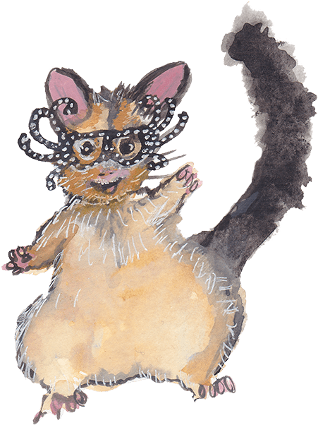 Possum Wearing Dame Edna Glasses - Kitten (542x688), Png Download