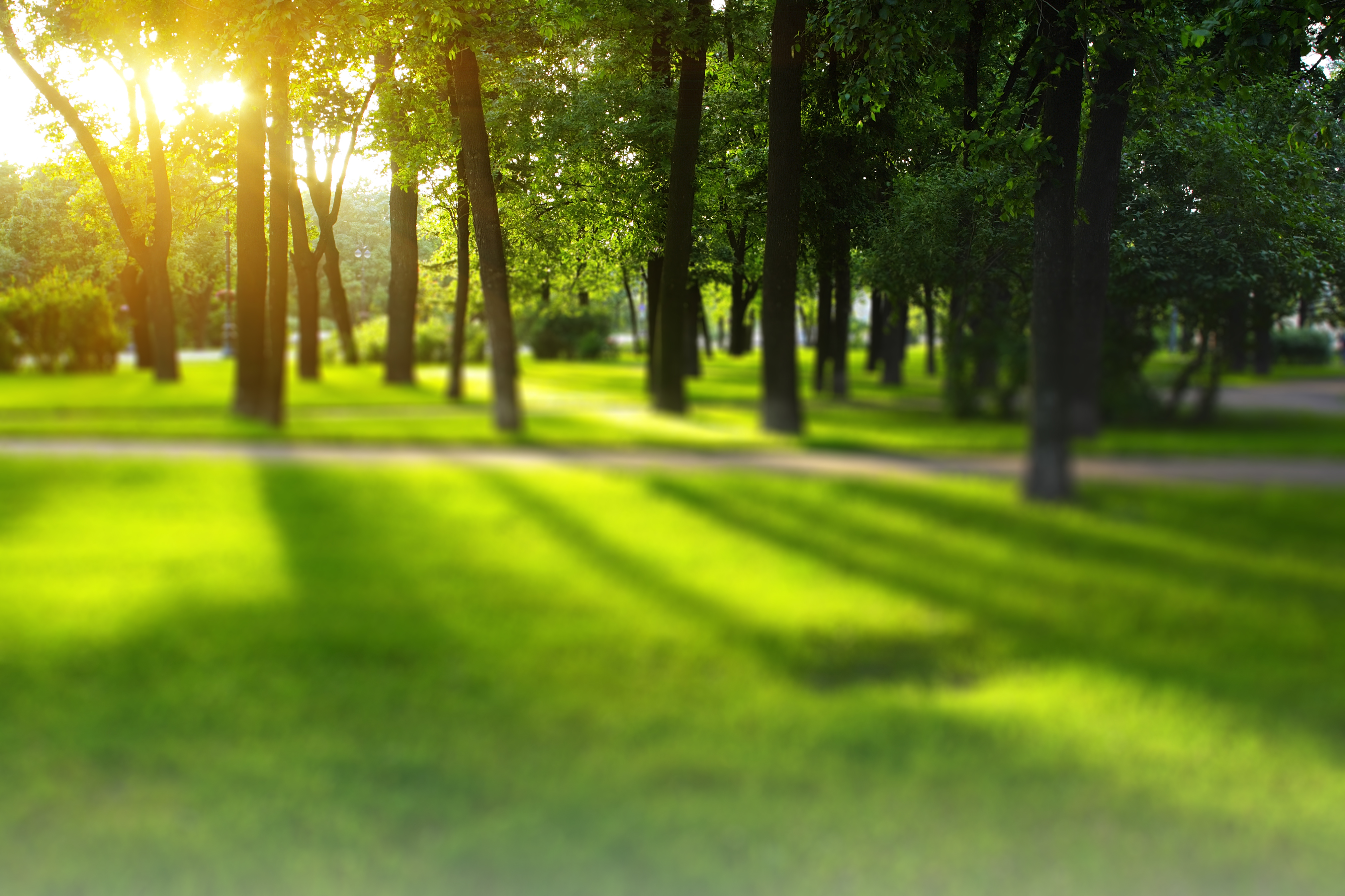 Acer Veriton X2640g (4050x2700), Png Download