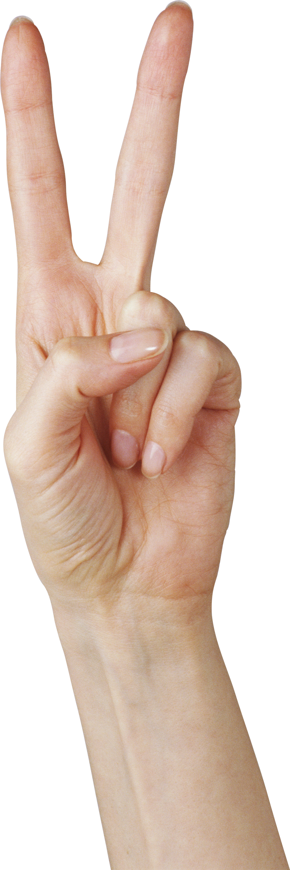 Hands Png Free Images - Hand 2 Png (1001x3000), Png Download