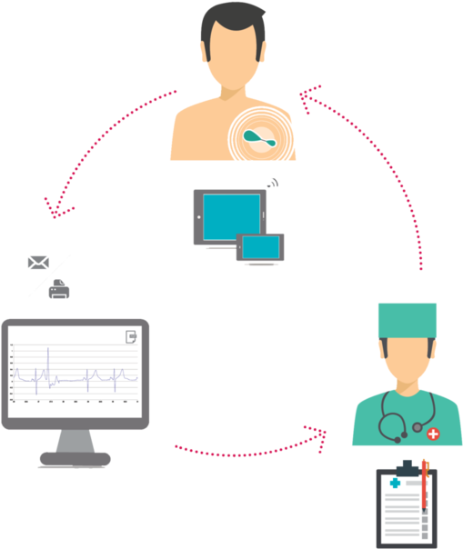 Measurements - Ecg Report - Physician - Savvy Ecg (538x625), Png Download