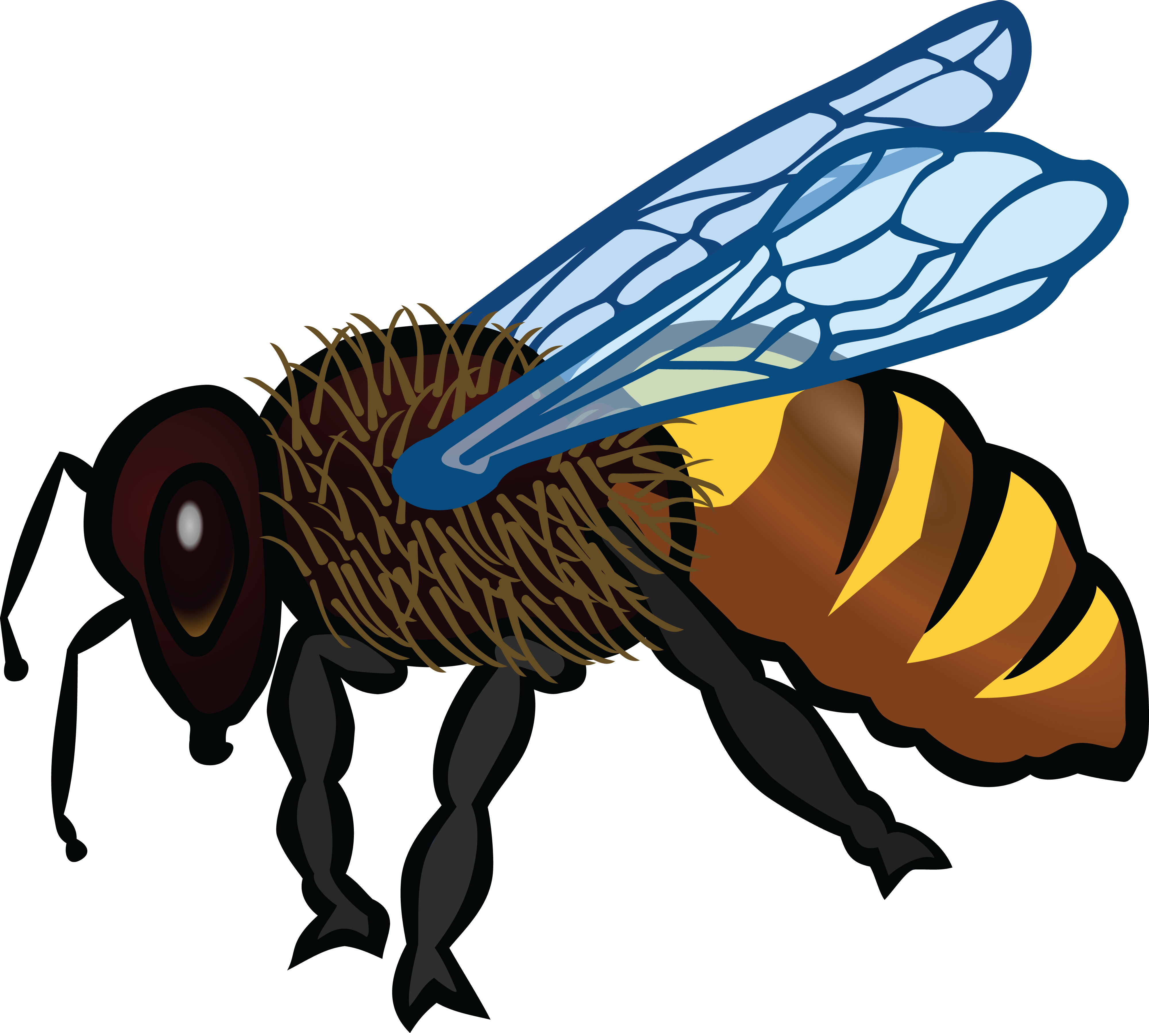 Free Clipart Of A Bee - Clip Art Animals Coloured (4000x3599), Png Download