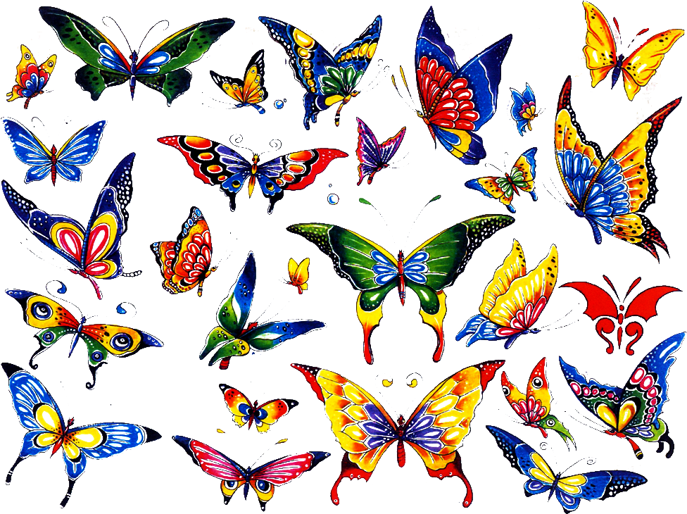 Colorful Butterfly Tattoo Designs - Butterfly Tattoo Coloured (1024x768), Png Download