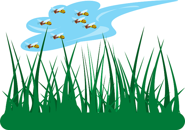 Cartoon, Sky, Grass, Flying, Over, Bees, Fly, Bee - Jardin Dibujo Png (640x451), Png Download