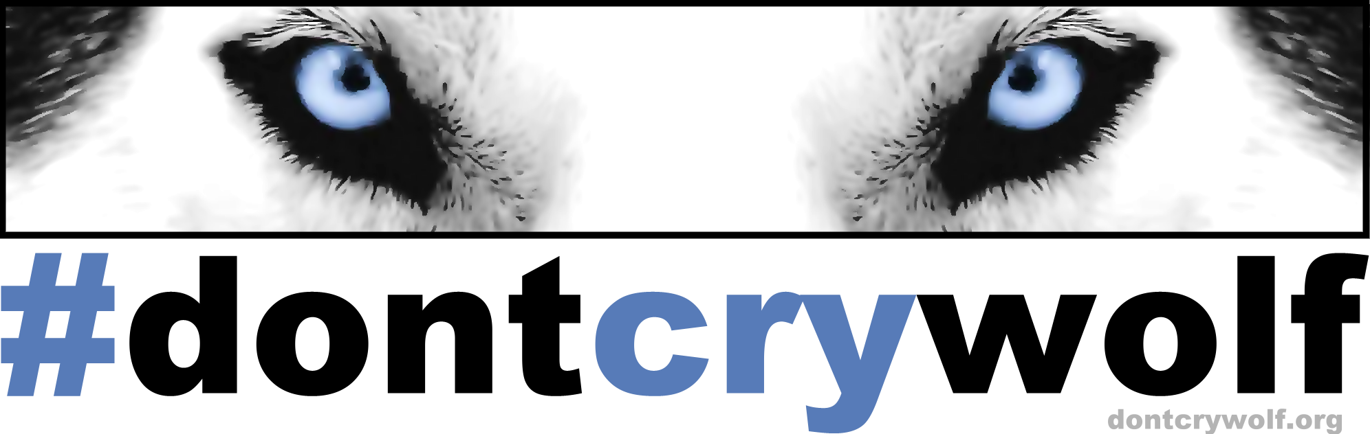 Dontcrywolf-eyes - She Wolf - Sapphire - Download (1992x632), Png Download