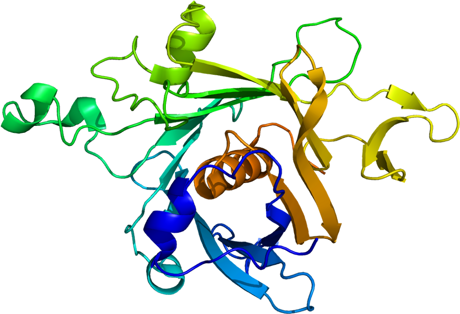 Protein Tub Pdb 1c8z - Tub (964x675), Png Download