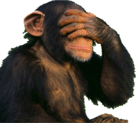 Funny Monkey Png Clip Art Free - Funny Monkey No Background (453x410), Png Download