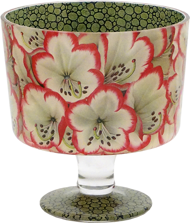 Rhododendron (800x800), Png Download