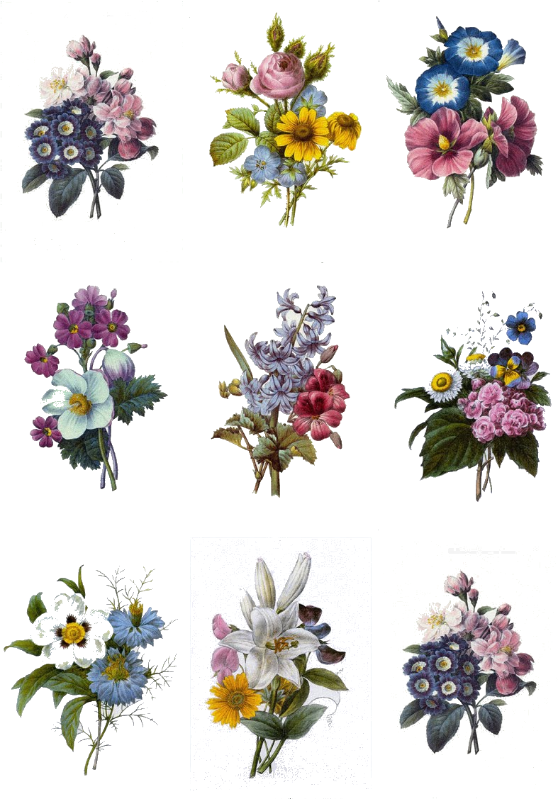 Carnation Tattoo, Flower Bouquet Tattoo, Gladiolus - Colorful Flowers Tattoo Designs (808x1142), Png Download