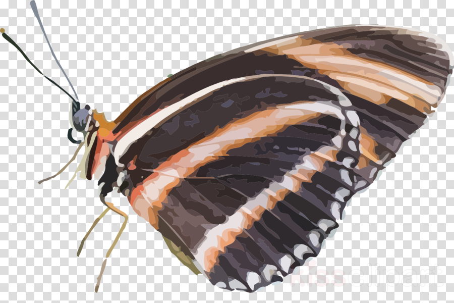 Butterfly Clipart Butterfly Insect Caterpillar - Blaue Schmetterlings-blumen-kunst Mousepads (900x600), Png Download