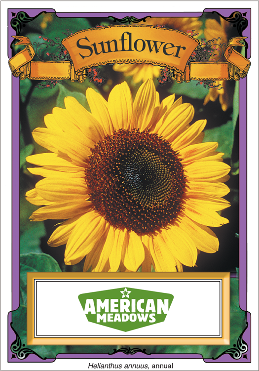 Packet Of Flower Seeds (800x800), Png Download