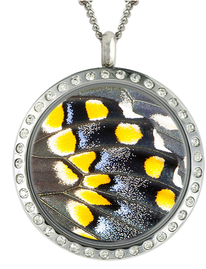 Butterfly Wing Blue & Yellow In Locket - Sister Necklace | Floating Locket Personalized For (625x626), Png Download