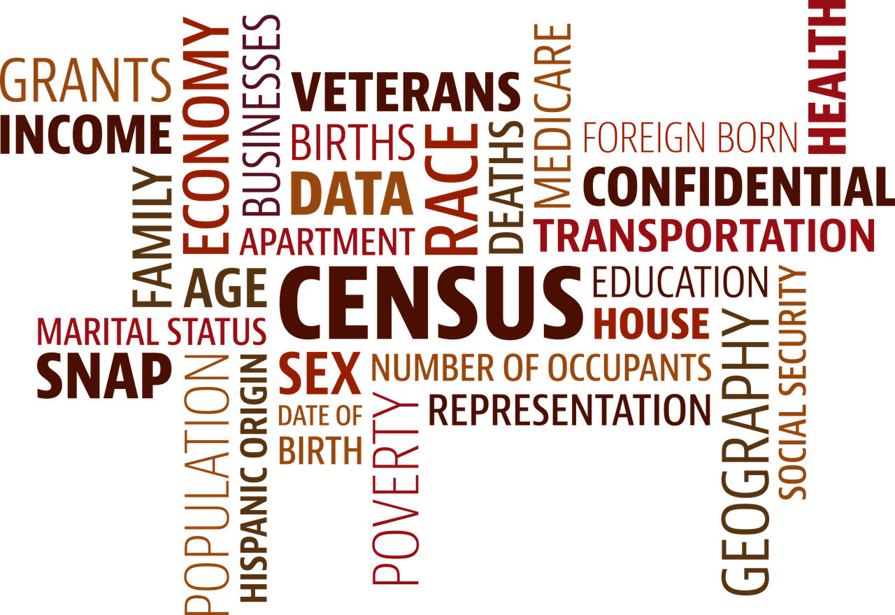 We Have Discussed The Value Of Census Records Before - Census Word (1280x879), Png Download