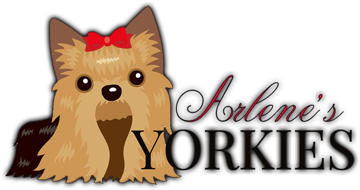 Designed & Developed By T&e Holdings - Dog Iphone 6 Slim Case By Toru Sanogawa (1400x434), Png Download