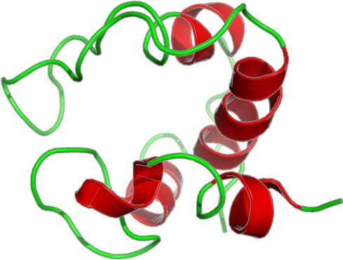 Ribbon Image For 2pac - Bell Peppers And Chili Peppers (800x600), Png Download