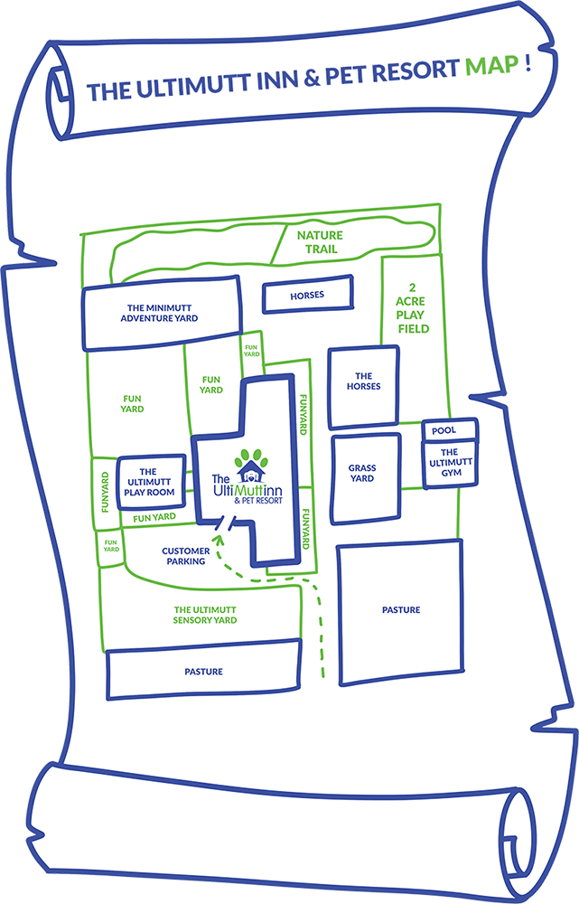 The Ultimutt Inn & Pet Resort Map - Pet (641x1000), Png Download