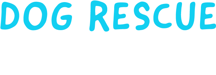 Logo (909x476), Png Download