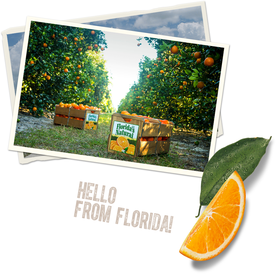 Our Juices - Rangpur (951x966), Png Download