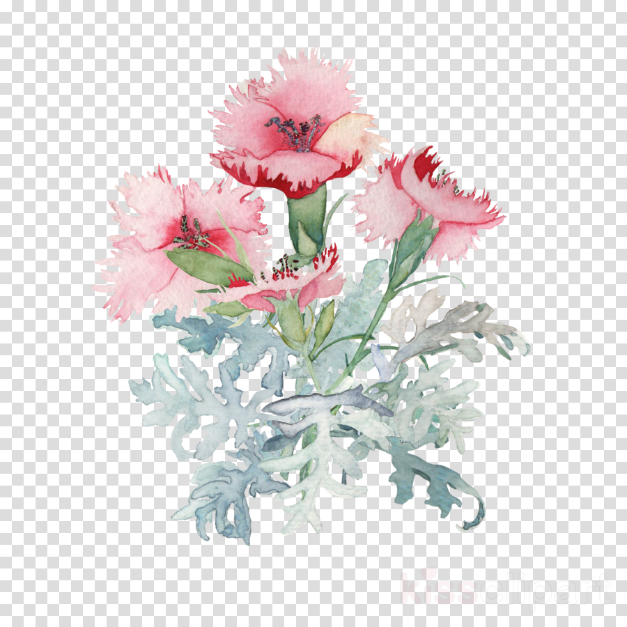 Watercolor Flower Png Clipart Watercolour Flowers Watercolor - Watercolour Carnations Flowers (900x900), Png Download