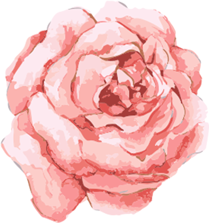 Watercolor Rose - Transparent Watercolor Flower Clipart (591x591), Png Download