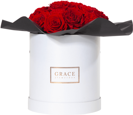 Atomic Red (600x577), Png Download