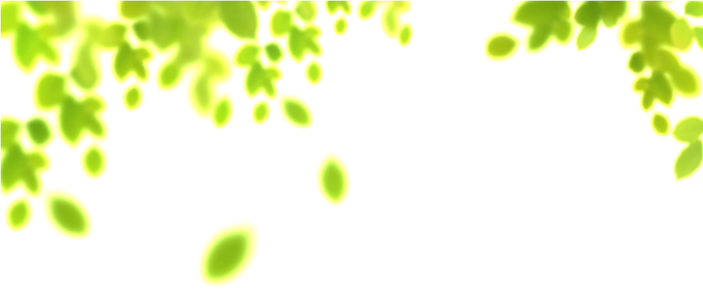 Spring Breeze Blowing Leaves Cartoon Transparent - Plant (1024x462), Png Download
