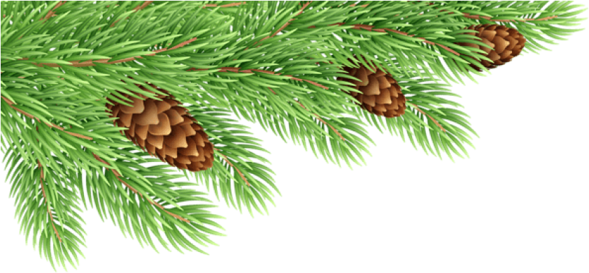 Free Png Pine Branches Decor Transparent Png Images - Fir Branches Clipart (850x401), Png Download