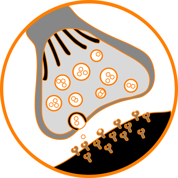 Next - Synapse Png (719x720), Png Download