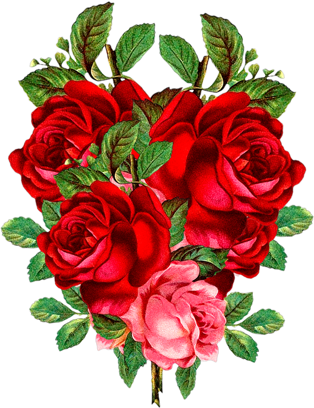 Red Rose Png, Flower Png Images, Red Flowers, Banners, - Hours Of Youth [book] (900x900), Png Download